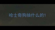 哈士奇狗抽什么的