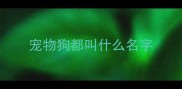 宠物狗都叫什么名字