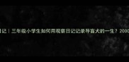 边牧成长日记三年级小学生如何用观察日记记录导盲犬的一生2000字暖心记录