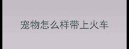 宠物怎么样带上火车