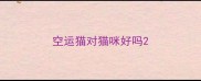 空运猫对猫咪好吗