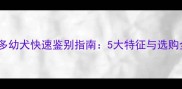 拉布拉多幼犬快速鉴别指南5大特征与选购全攻略