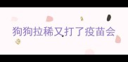 狗狗拉稀又打了疫苗会