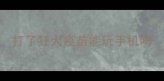 打了狂犬疫苗能玩手机吗