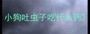 小狗吐虫子吃什么药