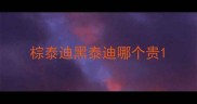 棕泰迪黑泰迪哪个贵
