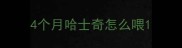 4个月哈士奇怎么喂
