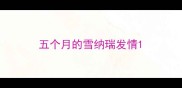 五个月的雪纳瑞发情