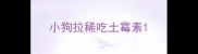 小狗拉稀吃土霉素