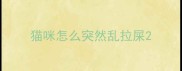 猫咪怎么突然乱拉屎