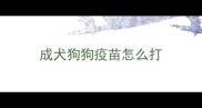 成犬狗狗疫苗怎么打