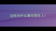 边牧为什么喜欢陌生人