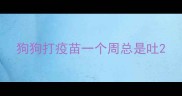 狗狗打疫苗一个周总是吐