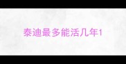 泰迪最多能活几年