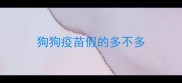 狗狗疫苗假的多不多