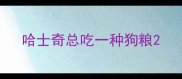 哈士奇总吃一种狗粮