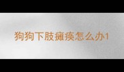 狗狗下肢瘫痪怎么办