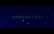 宠物猫快递会不会死