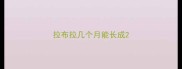 拉布拉几个月能长成