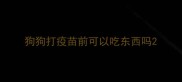 狗狗打疫苗前可以吃东西吗