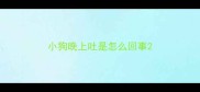 小狗晚上吐是怎么回事