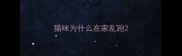 猫咪为什么在家乱跑