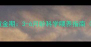 金毛幼犬补钙黄金期3-6月龄科学喂养指南附品牌推荐