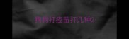 狗狗打疫苗打几种