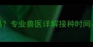 雪纳瑞必打疫苗吗专业兽医详解接种时间种类与注意事项