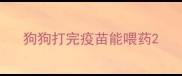 狗狗打完疫苗能喂药