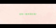 边牧一般市场价格