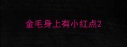 金毛身上有小红点
