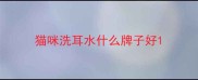 猫咪洗耳水什么牌子好