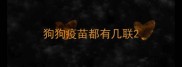 狗狗疫苗都有几联