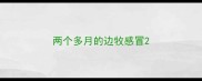 两个多月的边牧感冒