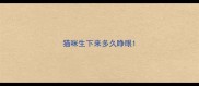 猫咪生下来多久睁眼