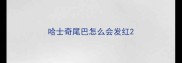 哈士奇尾巴怎么会发红