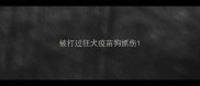 被打过狂犬疫苗狗抓伤