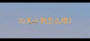30天小狗怎么喂