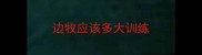 边牧应该多大训练