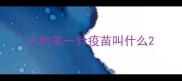 小狗第一针疫苗叫什么
