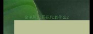 金毛尾巴开花代表什么