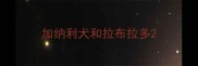 加纳利犬和拉布拉多