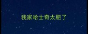 我家哈士奇太肥了
