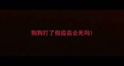 狗狗打了假疫苗会死吗