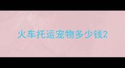 火车托运宠物多少钱