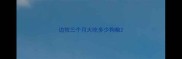 边牧三个月大吃多少狗粮