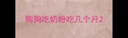 狗狗吃奶粉吃几个月