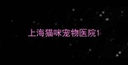 上海猫咪宠物医院