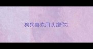 狗狗喜欢用头蹭你